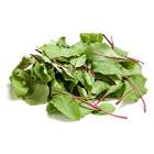 Red chard kg France 