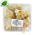 Galanga 100gr Thailande 
