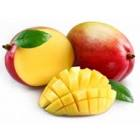 Mangue bateau premurie import 